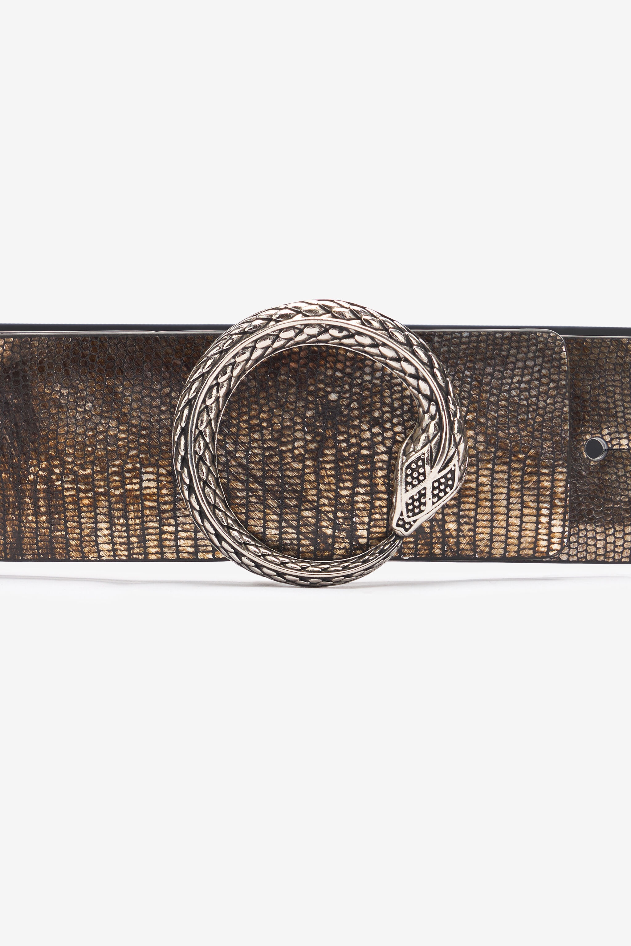 Metallic Belt With Snake Buckle - 3