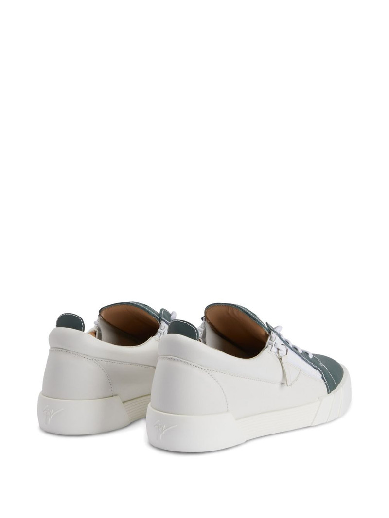 The Shark sneakers 3