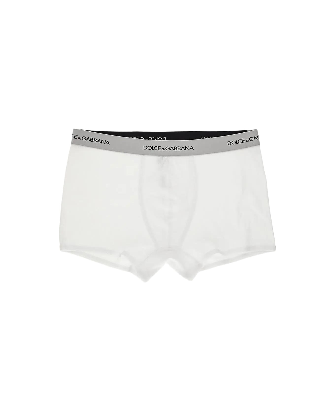 Regular Boxer - 1