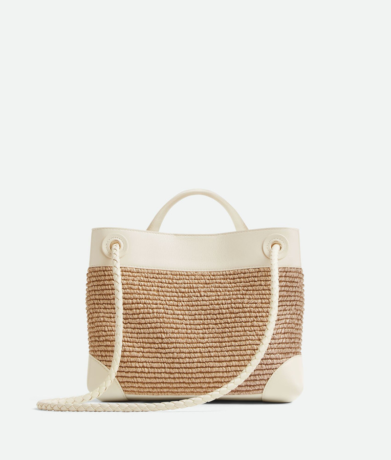 Bottega Veneta Small Andiamo outlook