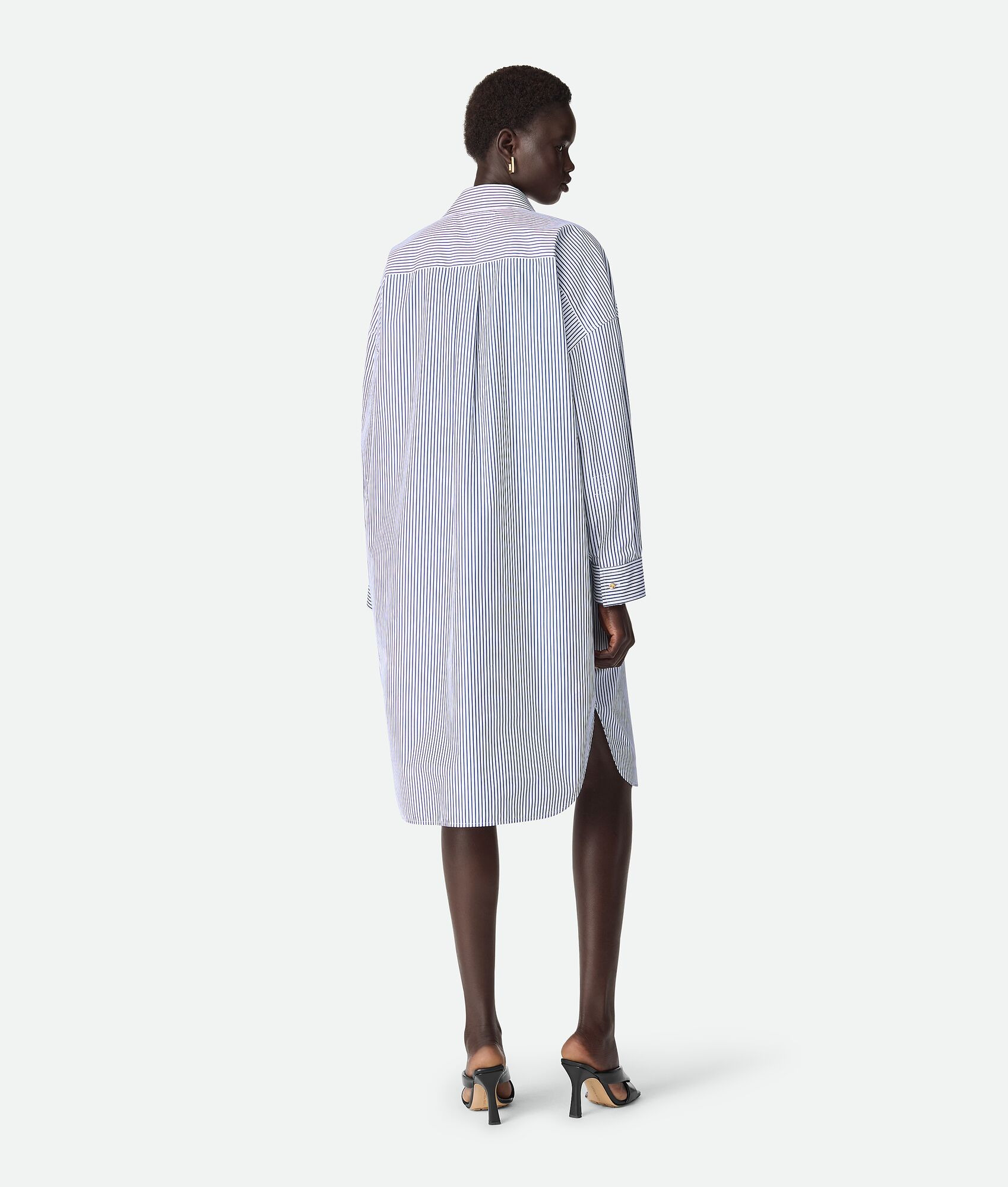 Pinstripe Cotton Poplin Dress - 3