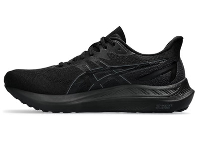 Asics GT-2000 12 EXTRA WIDE outlook