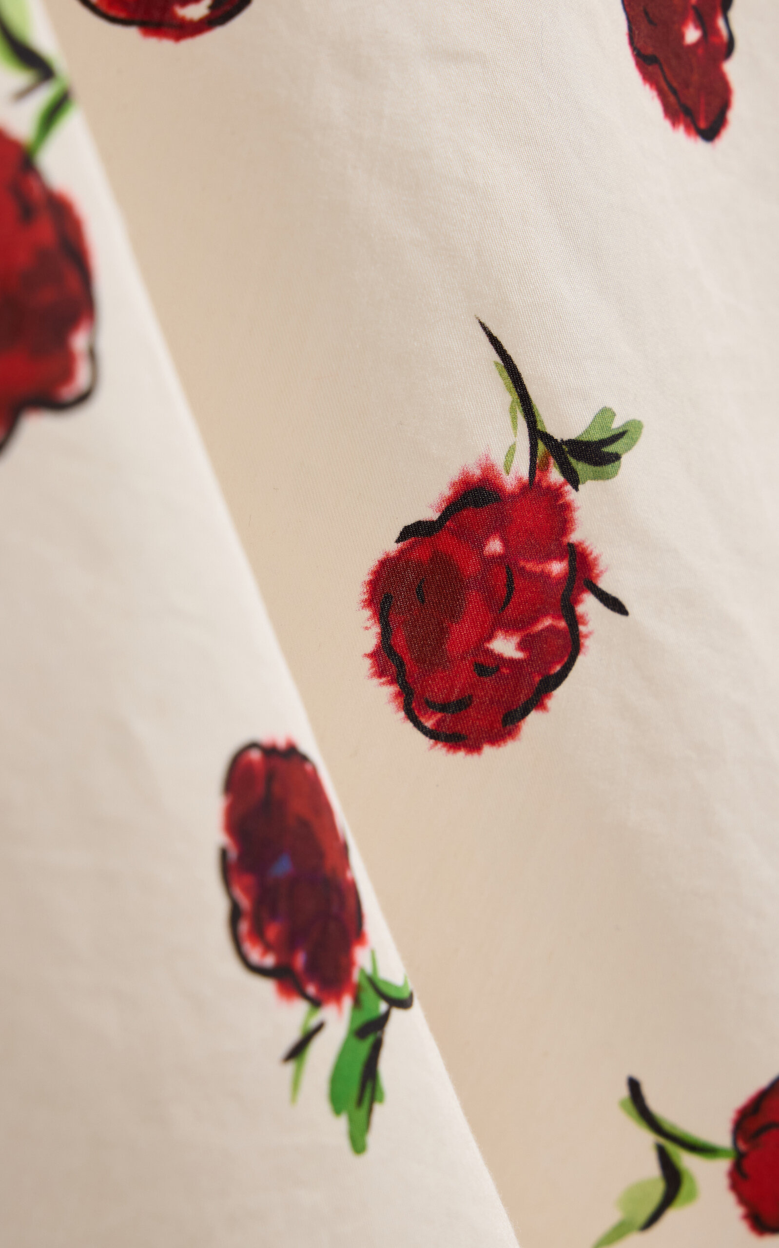 Lenno Printed Cotton-Silk Midi Skirt print - 5