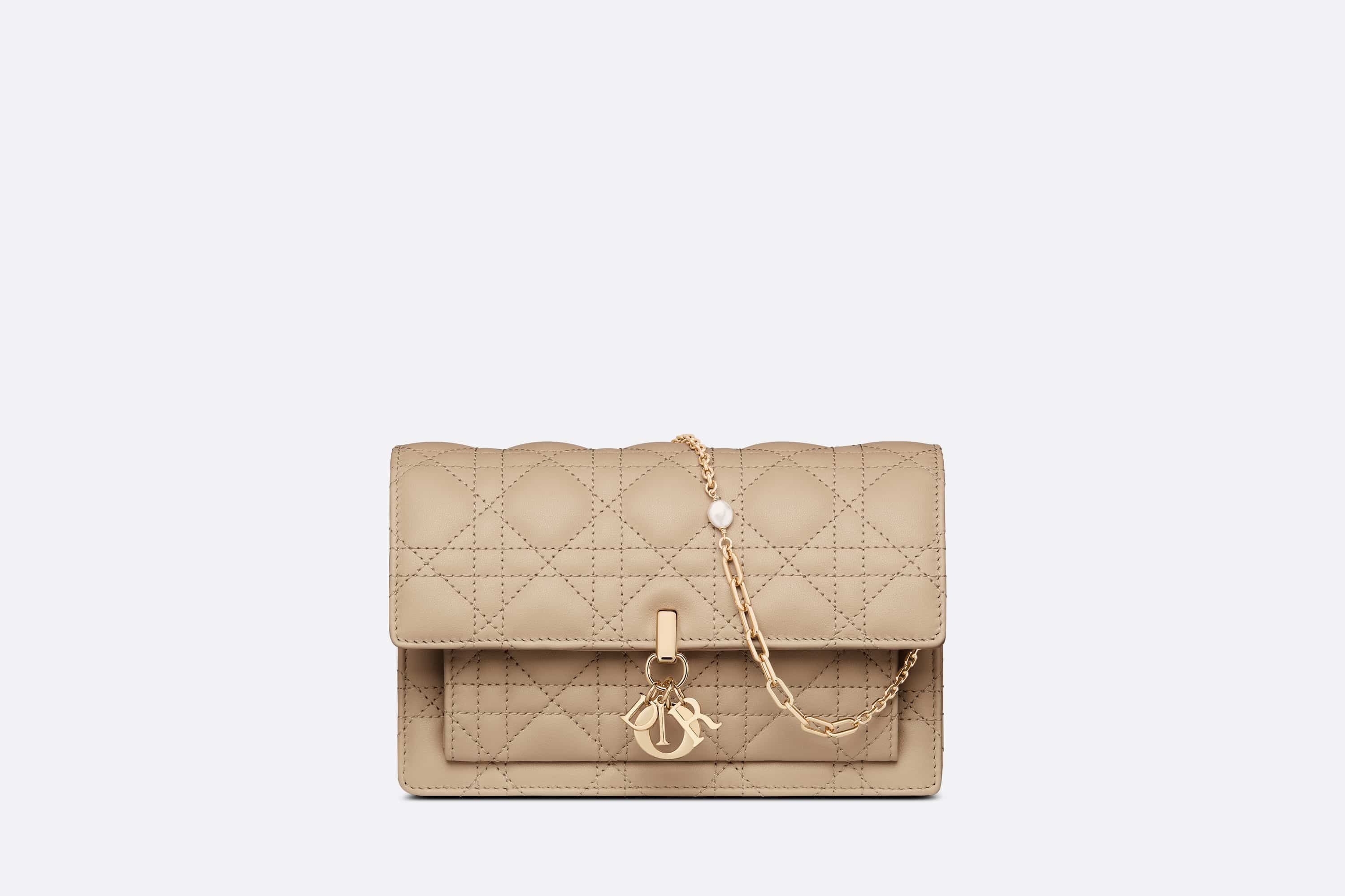Lady Dior Chain Pouch - 1