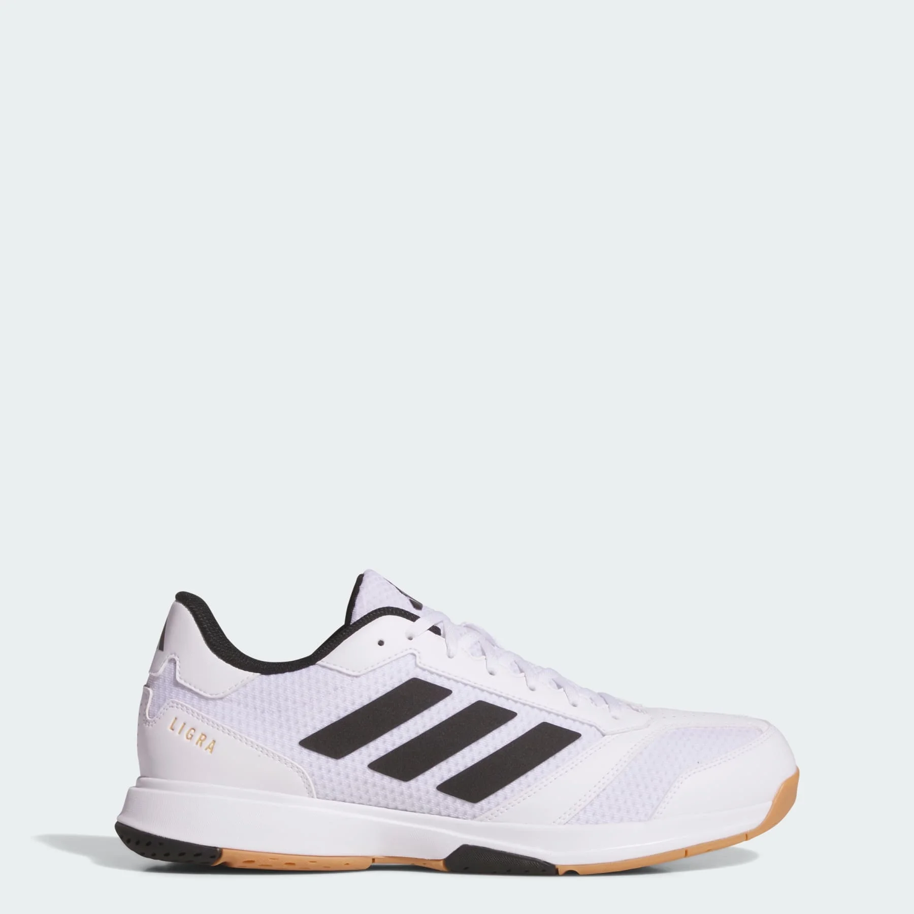 Ligra 8 Indoor Shoes - 1