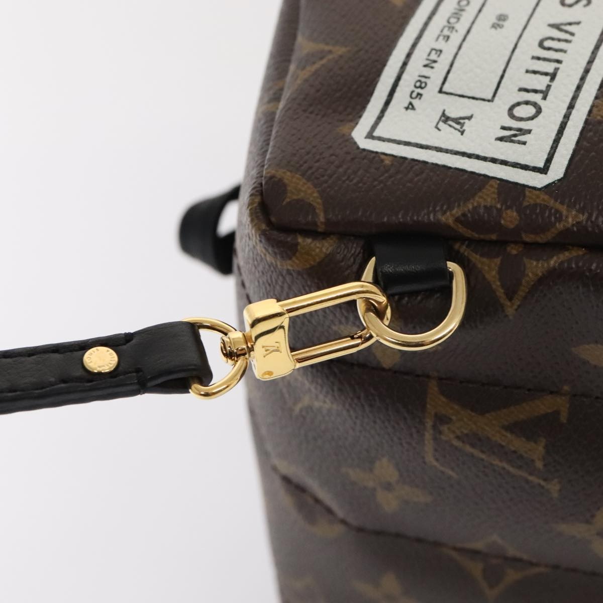 LOUIS VUITTON Monogram Palm Springs Mini Backpack M41562 - 8