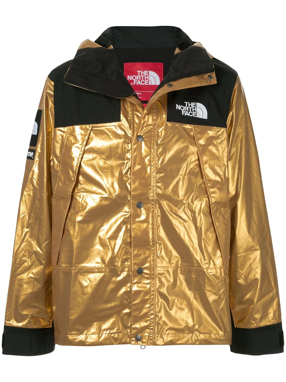 TNF metallic mountain parka - 1