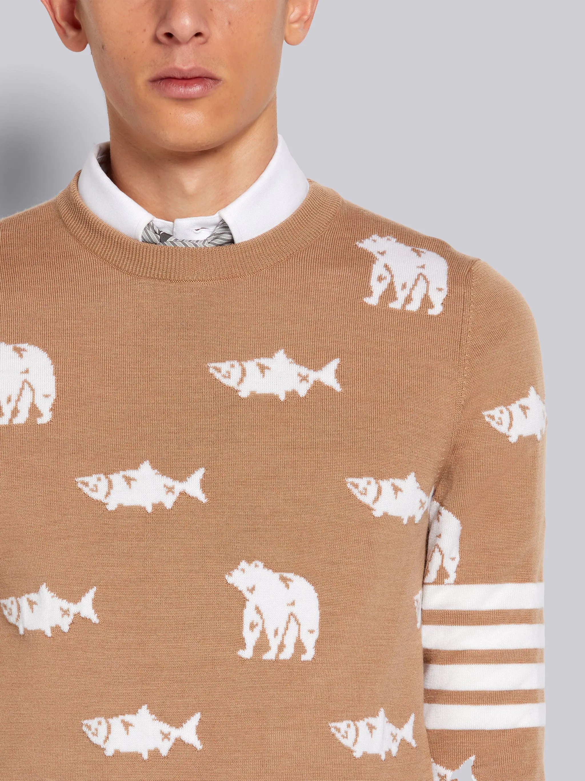 Camel Merino Wool Bear and Salmon Half Drop Intarsia 4-Bar Stripe Relaxed Fit Crew Neck Pullover - 5