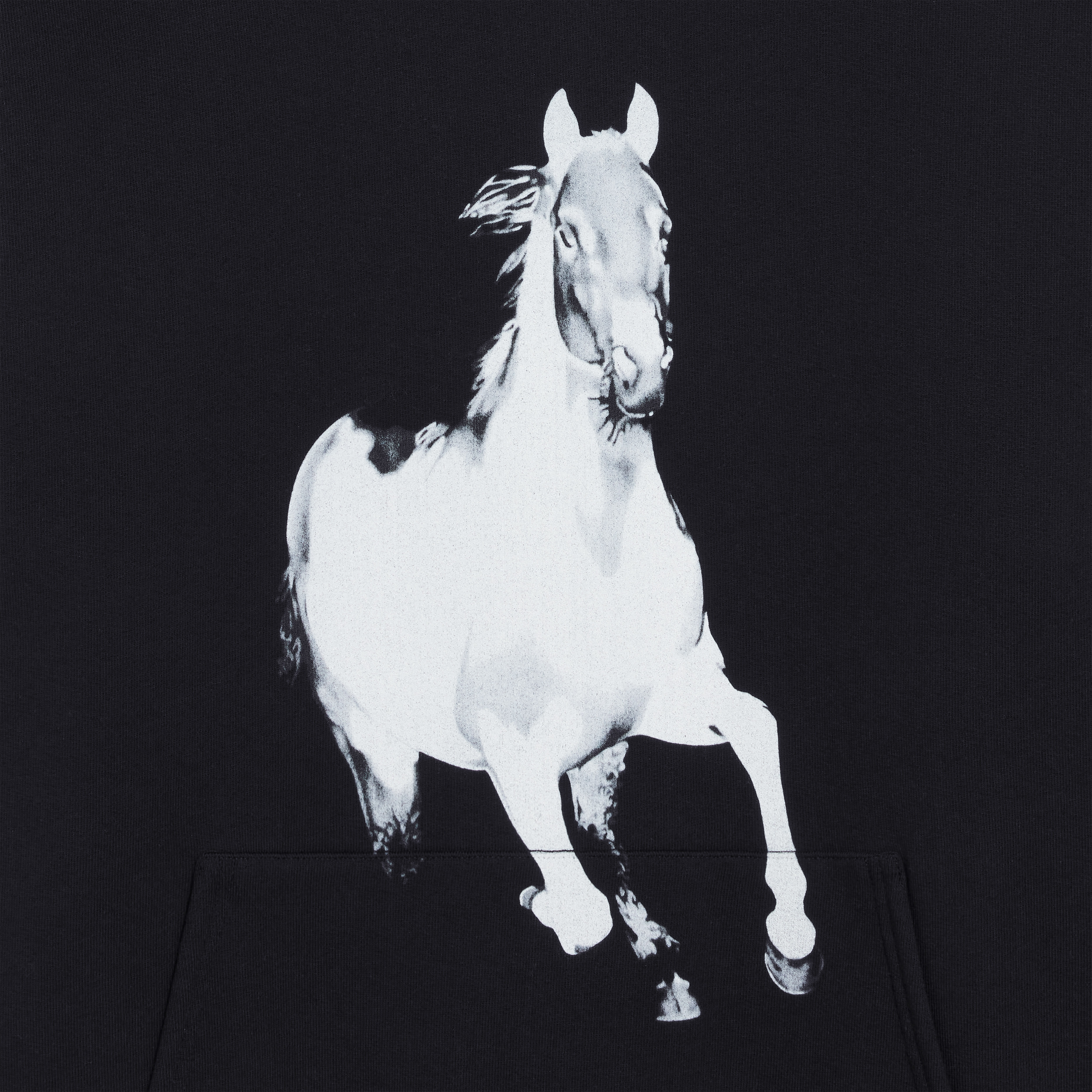 OVERSIZED HORSE HOODIE IN COTTON FLEECE - 3