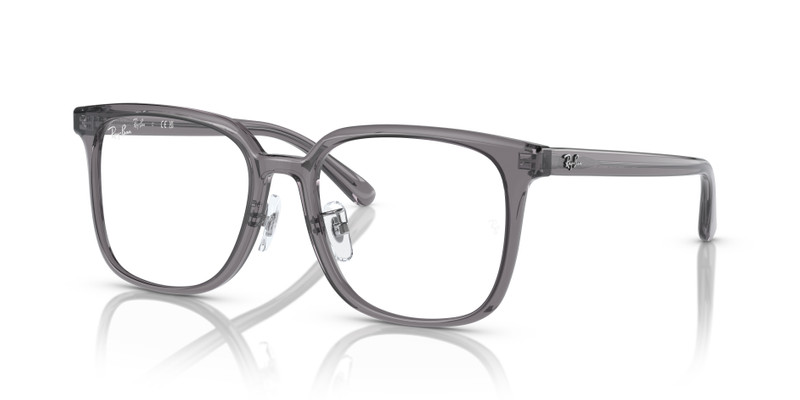 RB5419 OPTICS 1