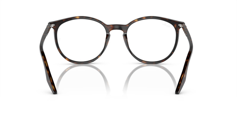 RB2204 TRANSITIONS® 8