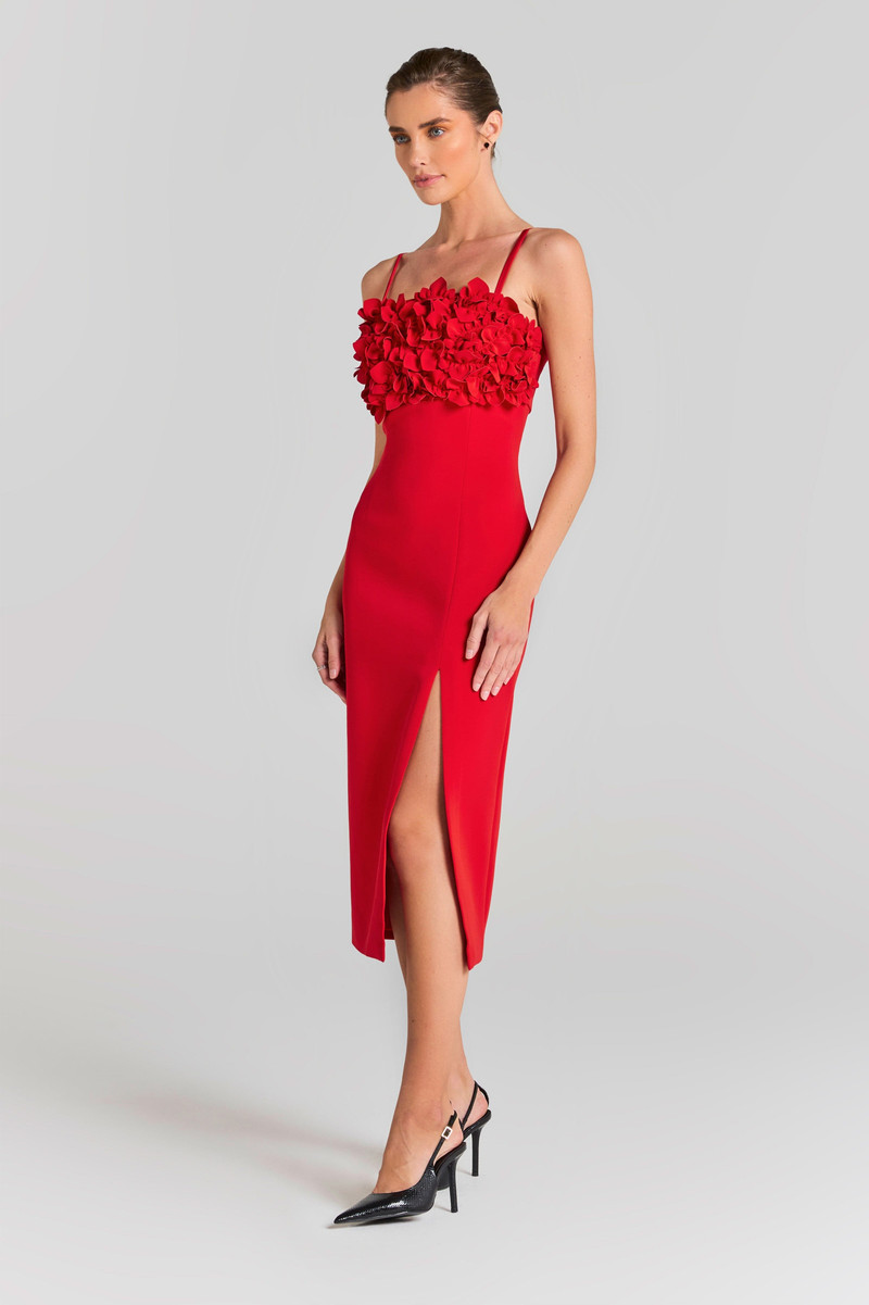 Jasmine Red Dress 5
