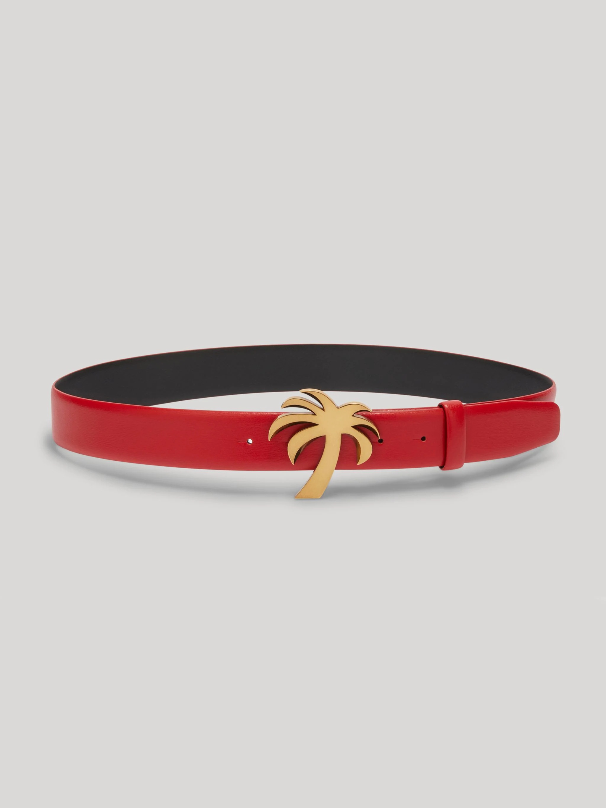 PALM BELT - 1