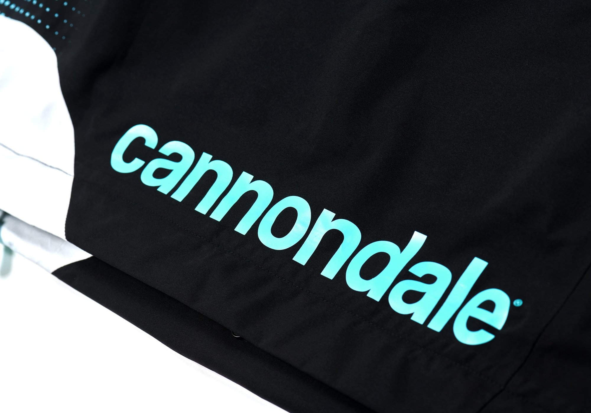 PALACE CANNONDALE MAD BOY GORE-TEX PACLITE PANT BLACK / MINT - 9