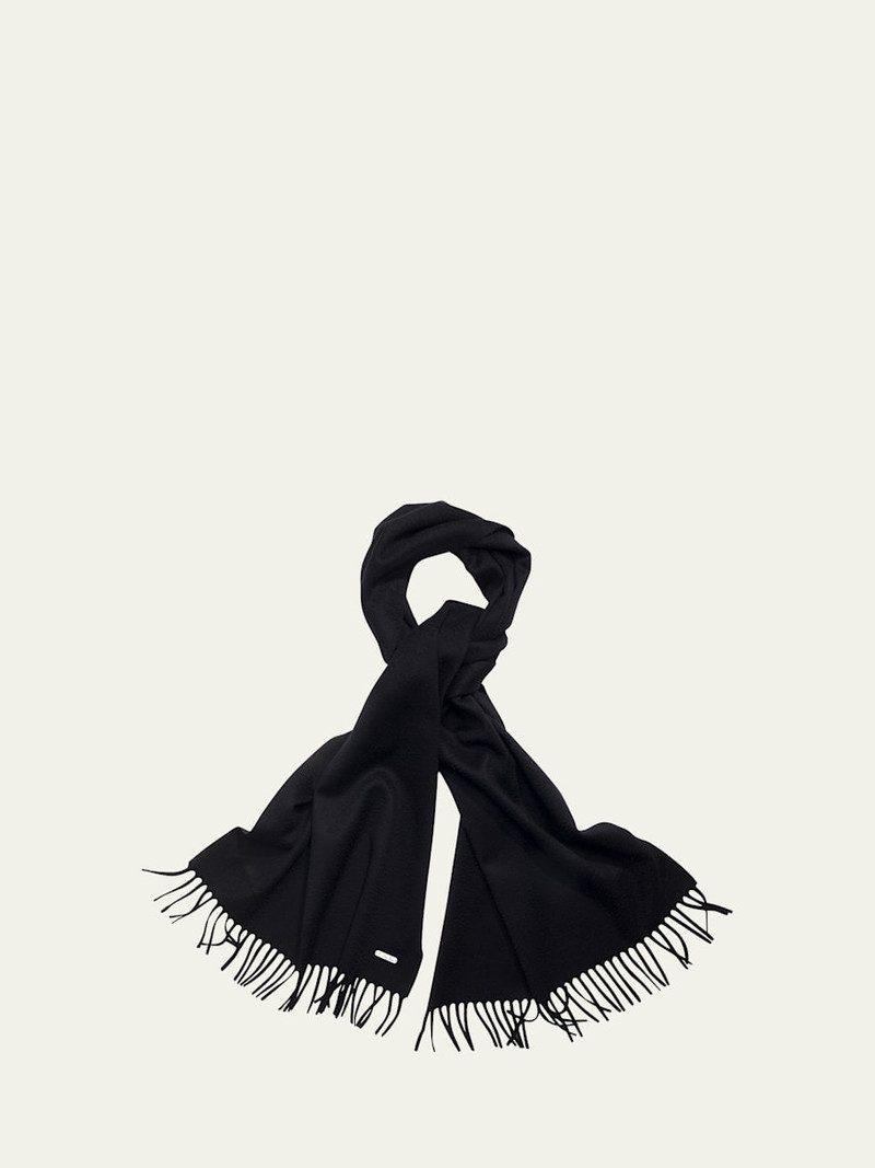 Loro Piana Cashmere Sciarpa Grande Fringe-Trim Scarf outlook