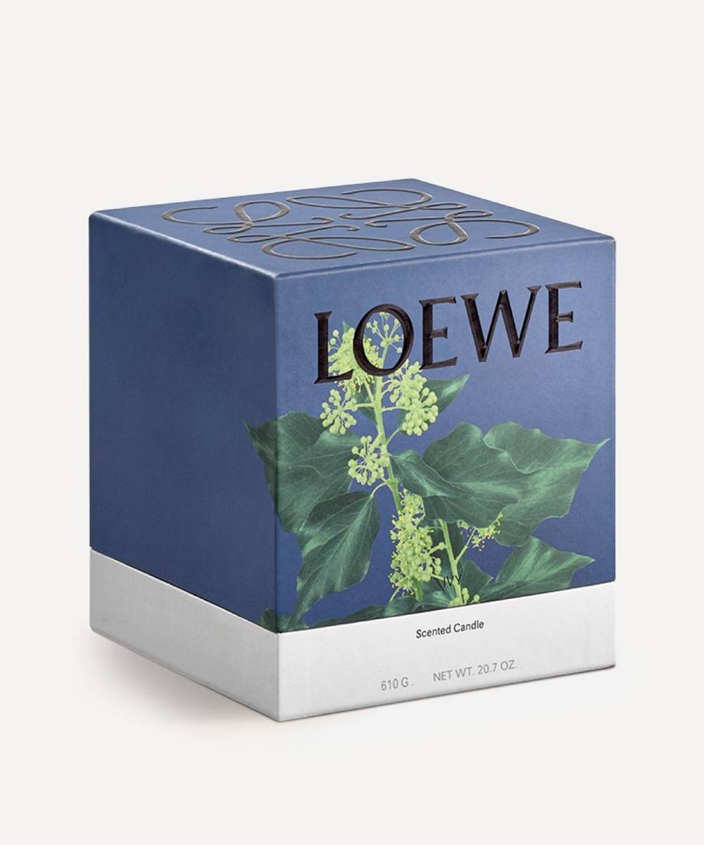 Medium Ivy Candle 610g - 2