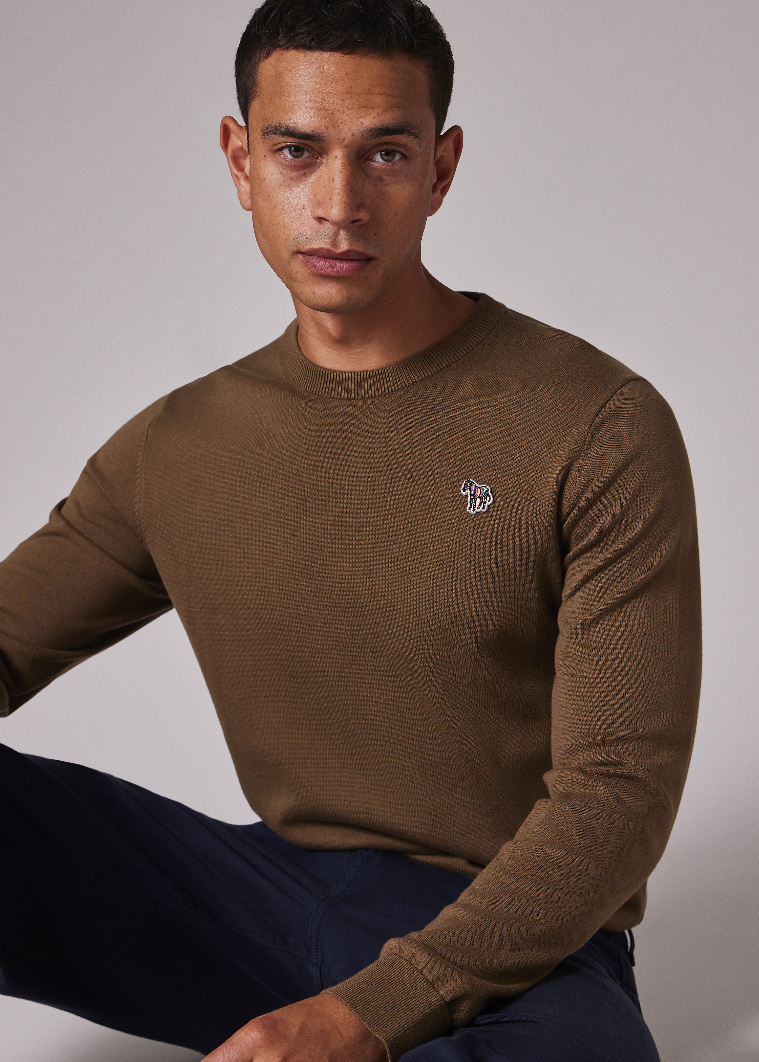 Khaki Organic Cotton Zebra Logo Sweater - 3