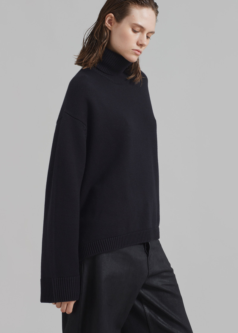 Rhea Trapeze Turtleneck - Black 11