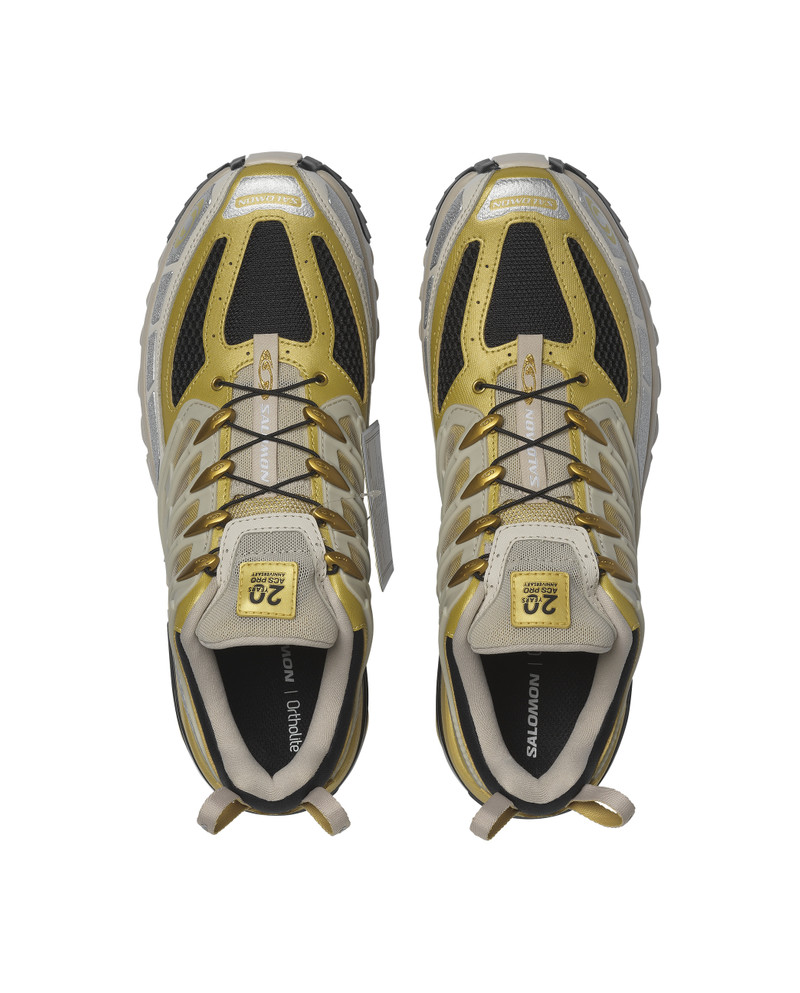 ACS PRO 20 Years Anniversary Golden Archive 5