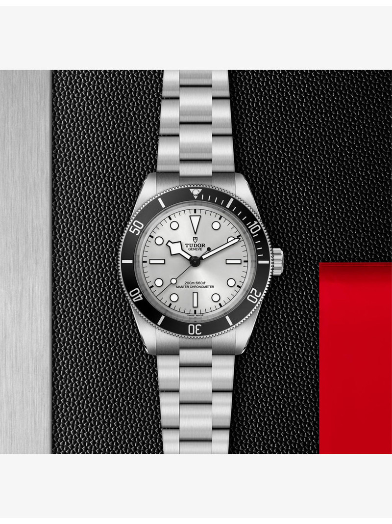 TUDOR Black Bay 68 Stainless-Steel Automatic Watch 43mm outlook
