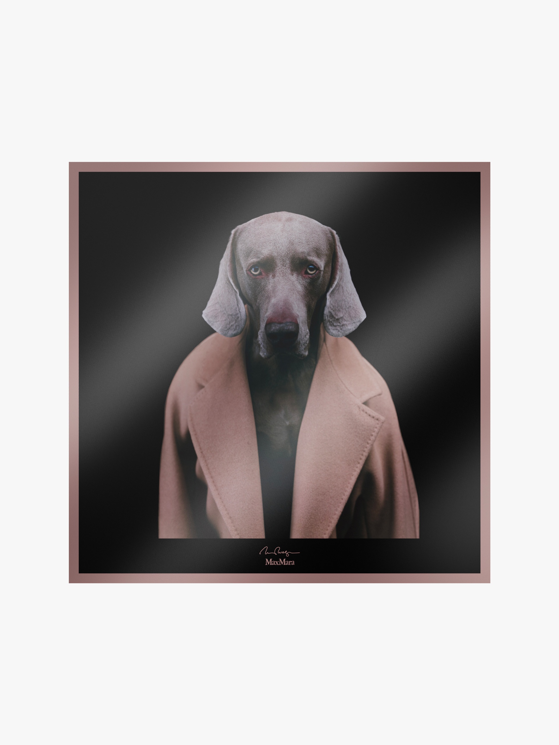 CARREMADAMEDOG Printed silk foulard - 1