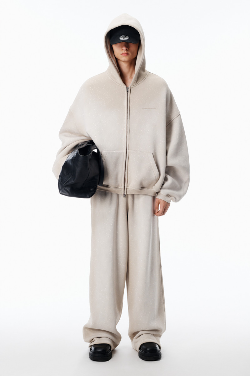 Alexander Wang Crystal Hotifx Zip-Up Hoodie in Cotton Blend outlook