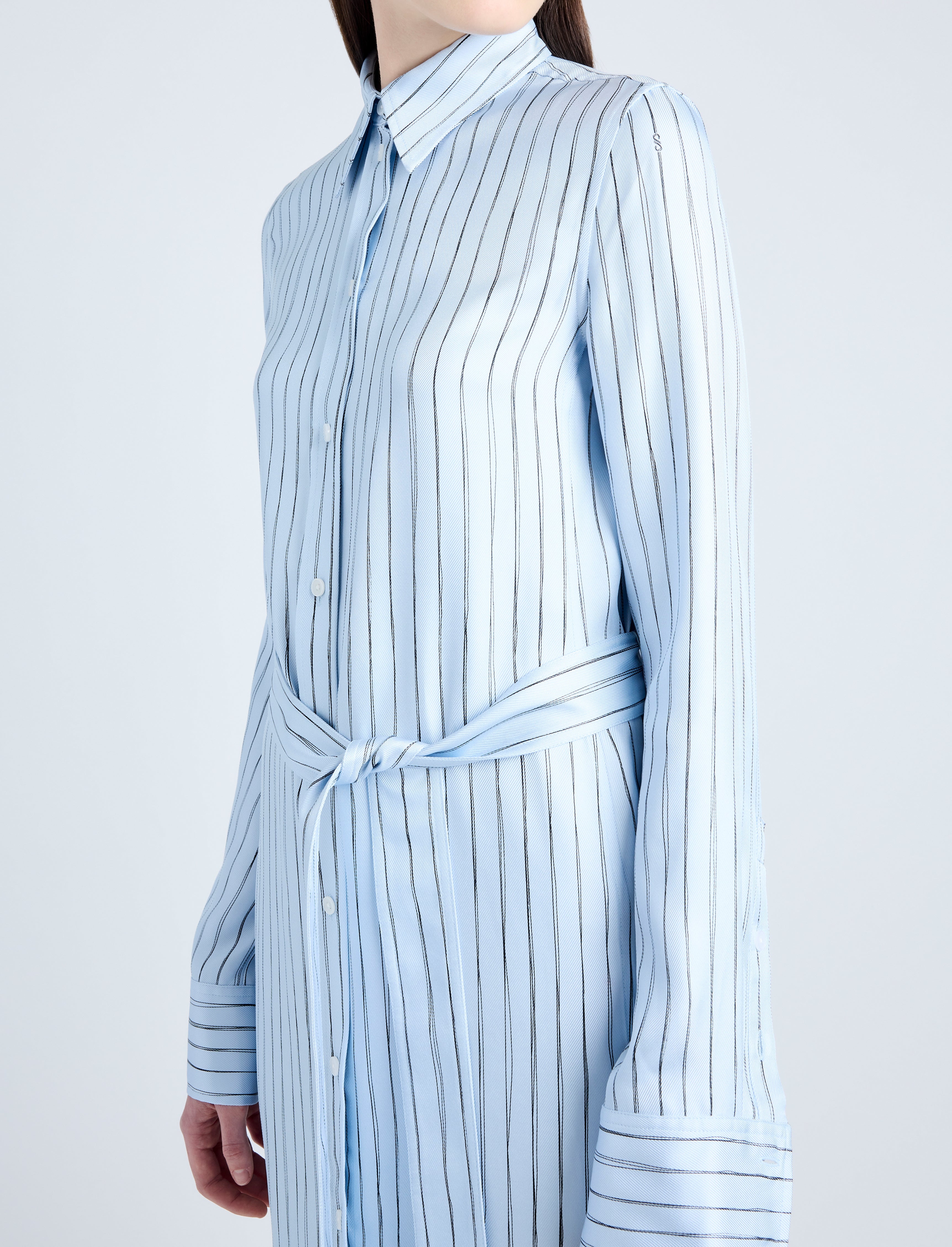 Hannah Dress in Stripe Silk Twill - 5