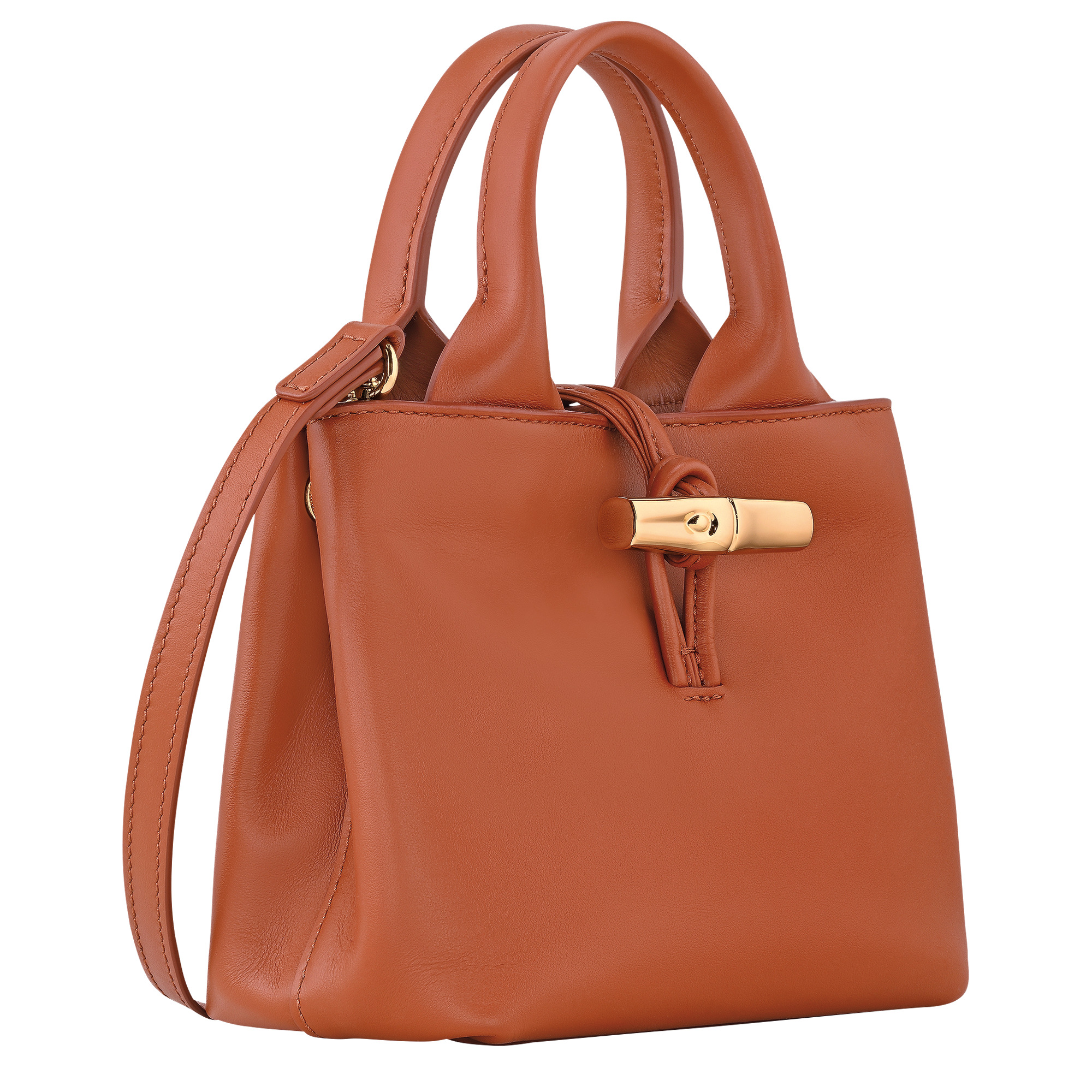 Le Roseau XS Handbag Bark - Leather - 3