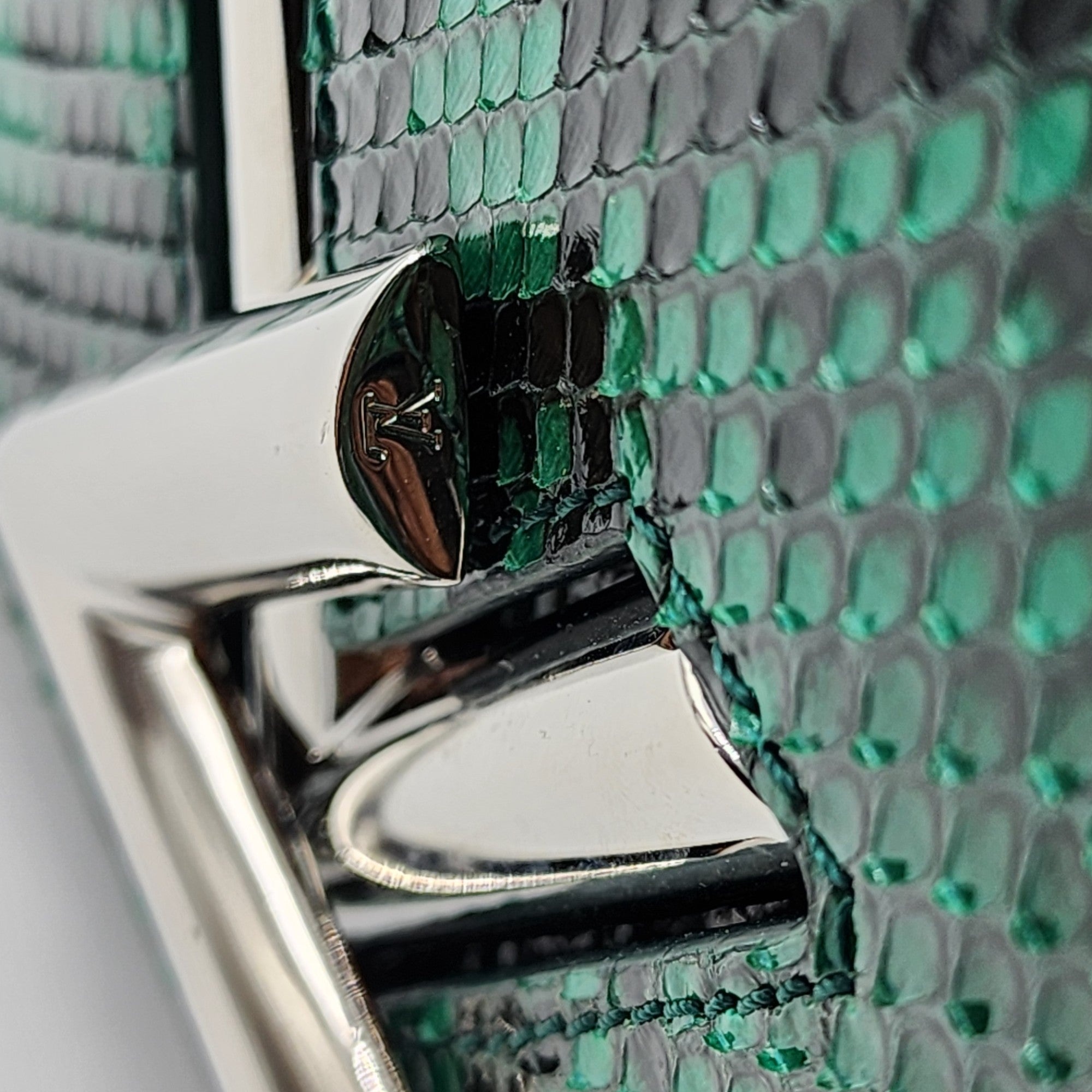 Louis Vuitton Twist MM Green Python - 11