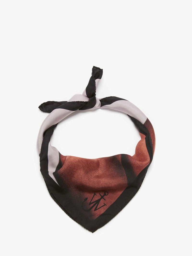 JW Anderson PRINTED SILK SCARF outlook