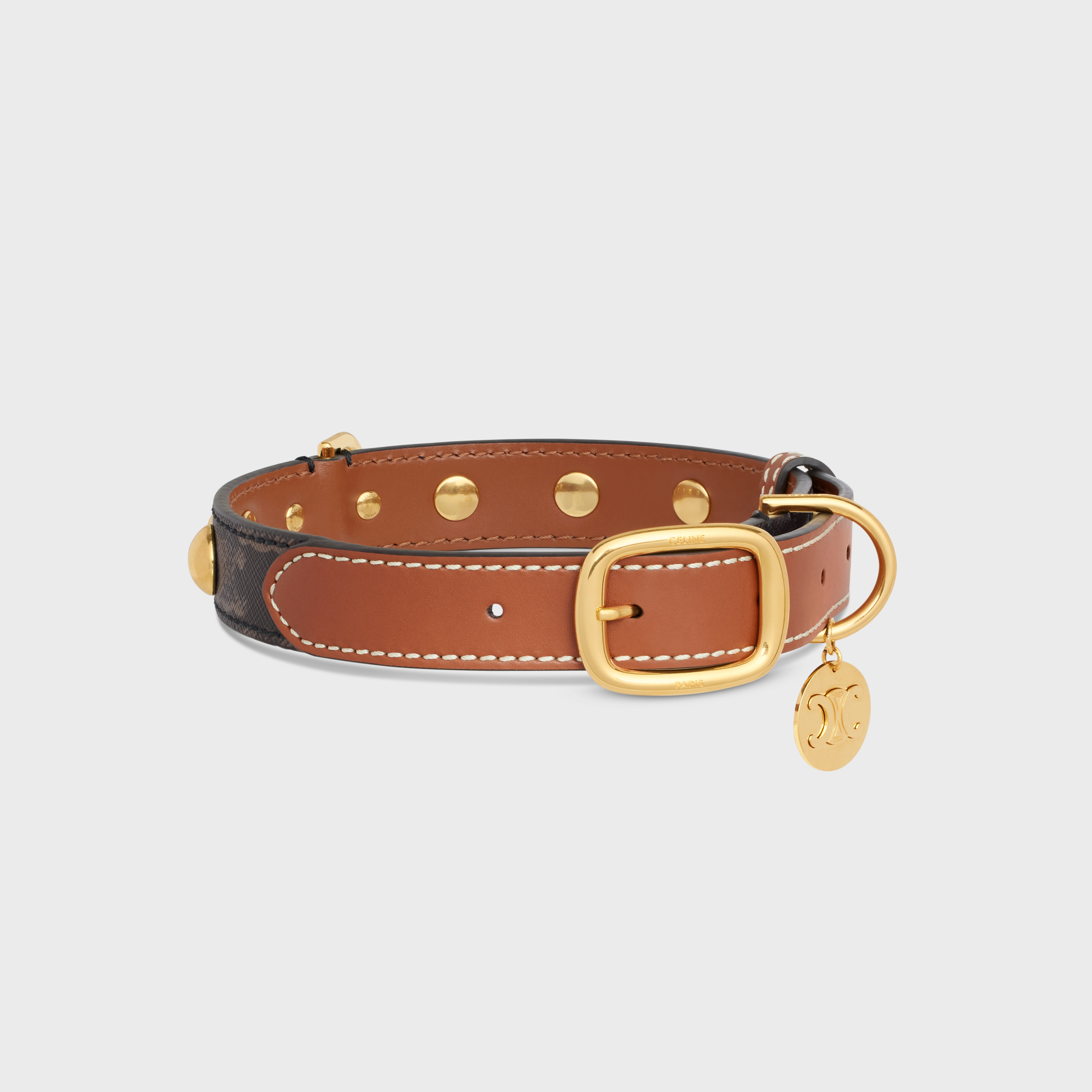 Large Medium Dog Collar in Triomphe Canvas and Calfskin - 2