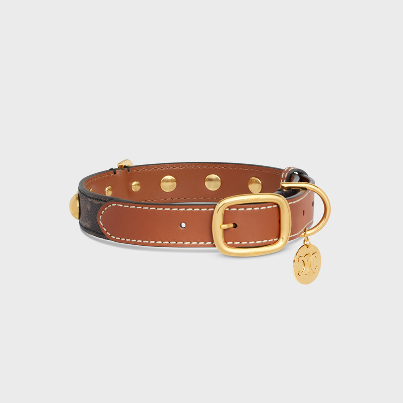 CELINE Large Medium Dog Collar in Triomphe Canvas and Calfskin outlook