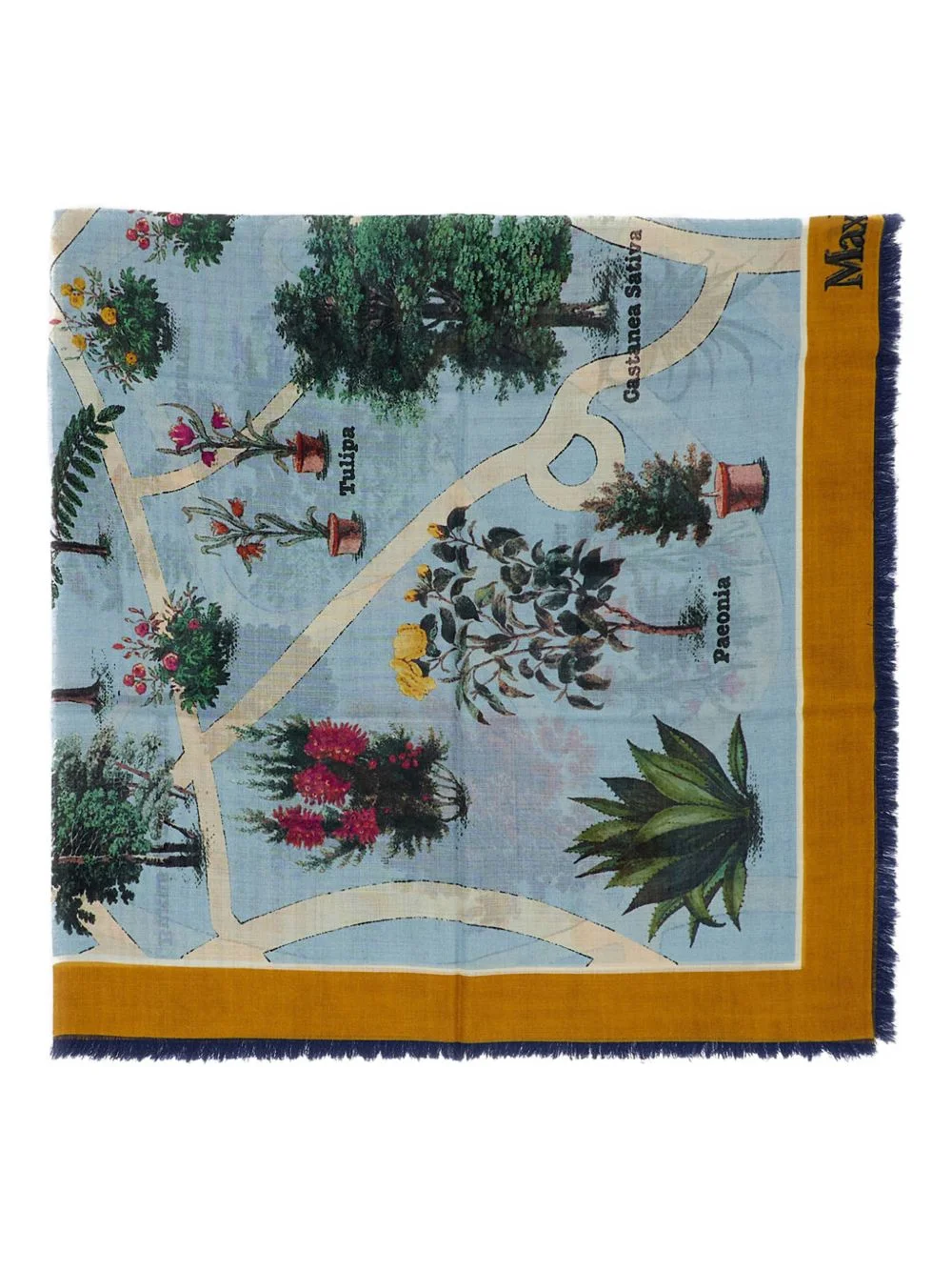 printed fringed scarf - 1