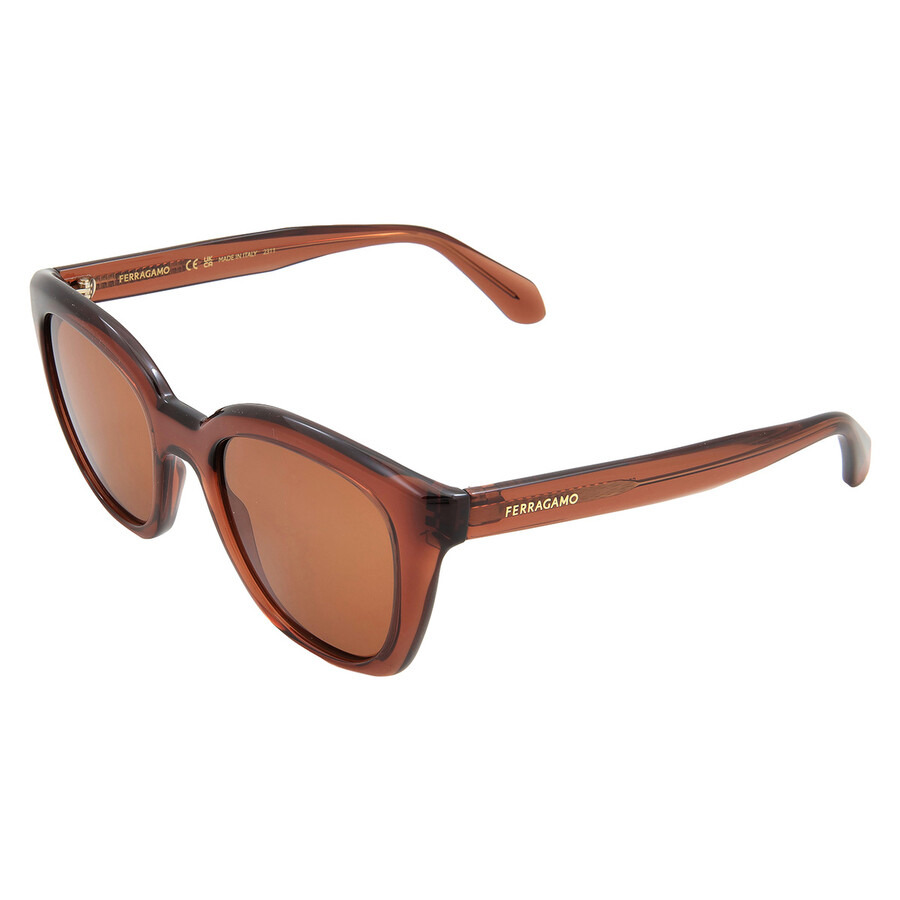 Salvatore Ferragamo Brown Cat Eye Ladies Sunglasses SF2000S 232 52 - 4