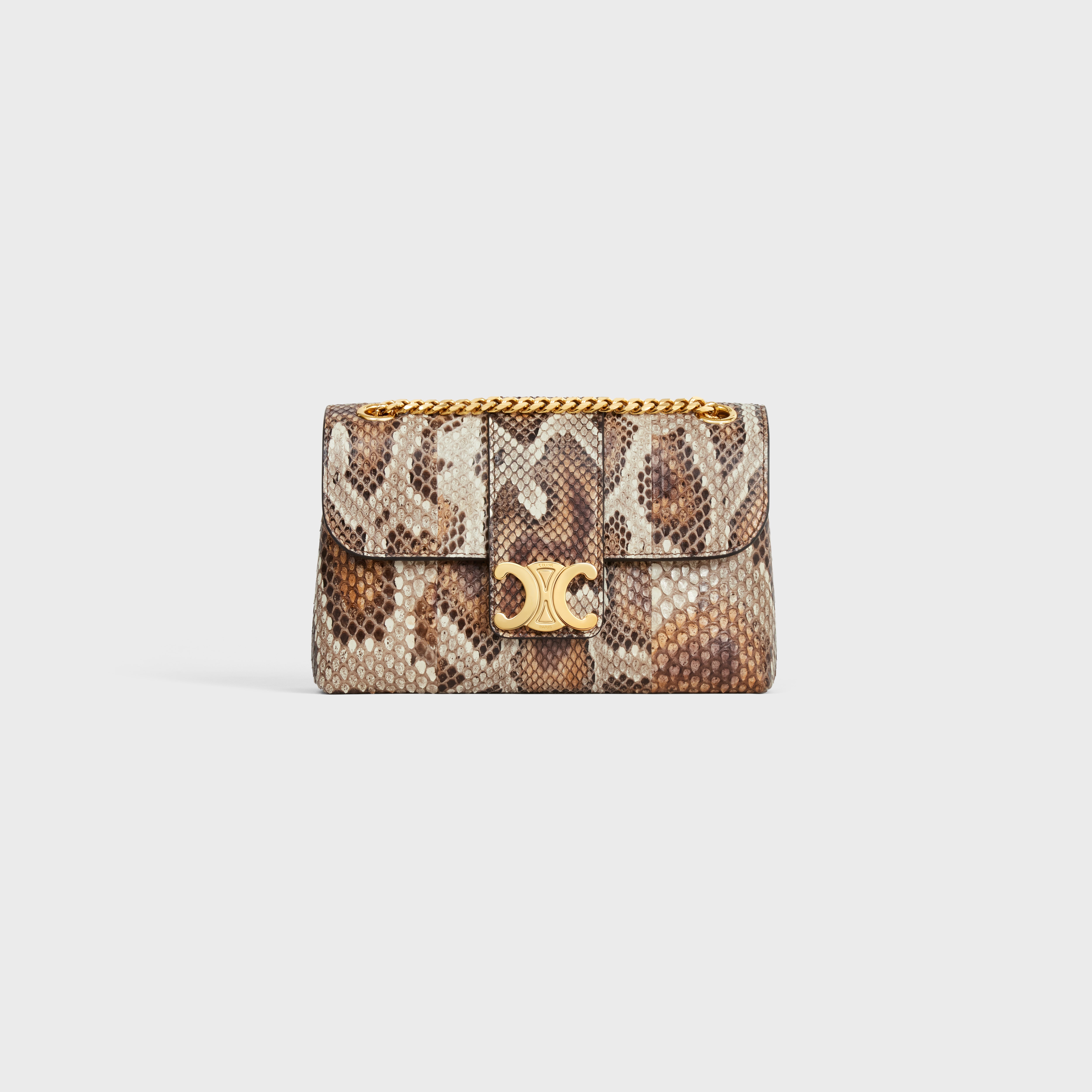 TEEN CELINE VICTOIRE BAG in PYTHON - 1