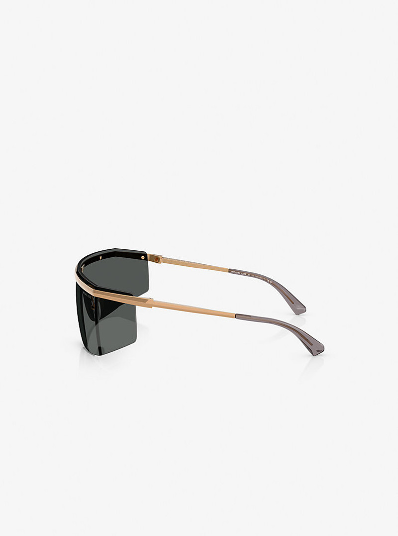 Palisades Sunglasses 3