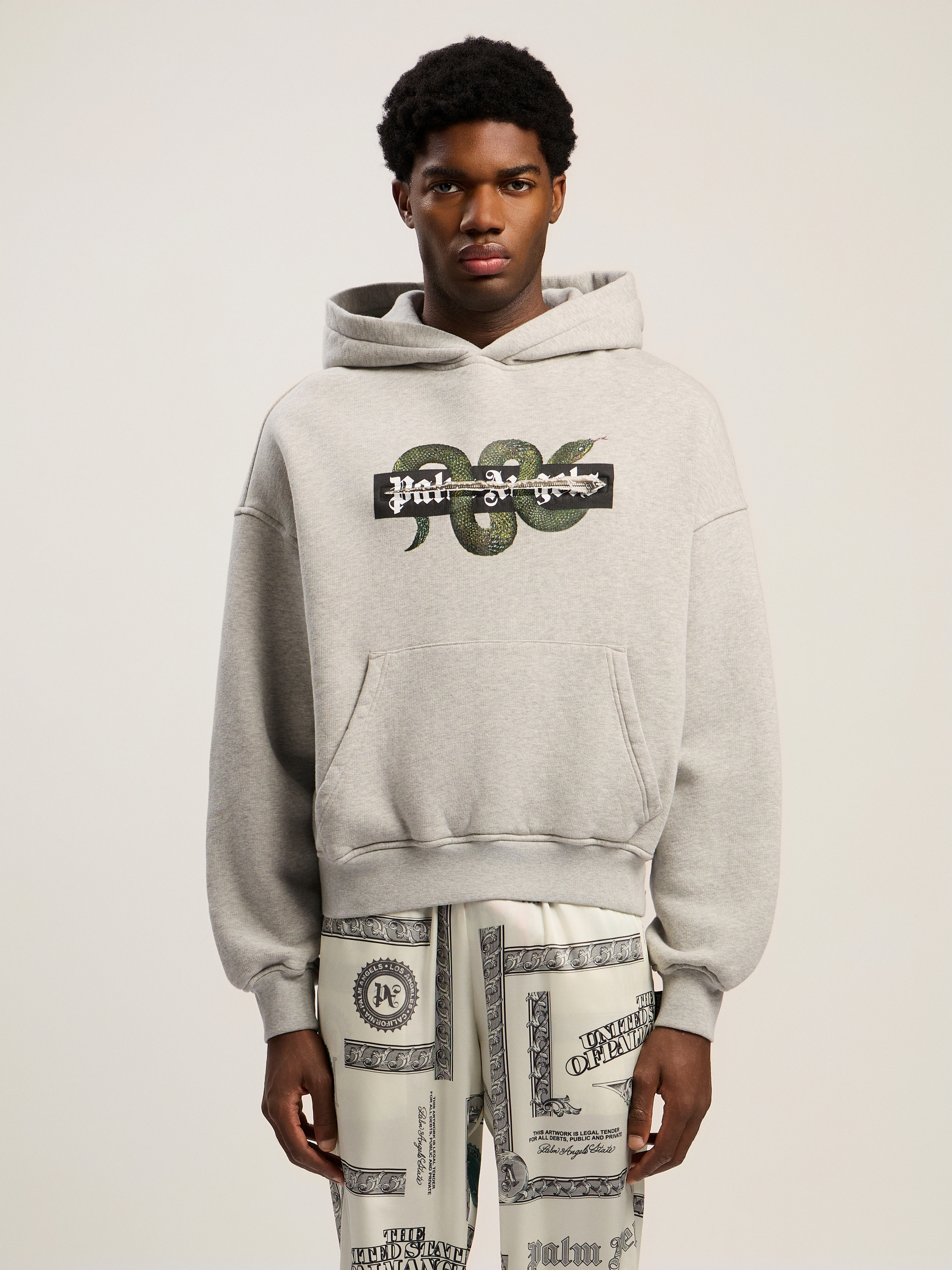 Snake Graphic Hoodie - 3