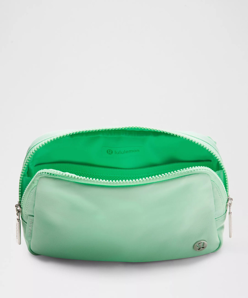 Everywhere Belt Bag Large 2L 4