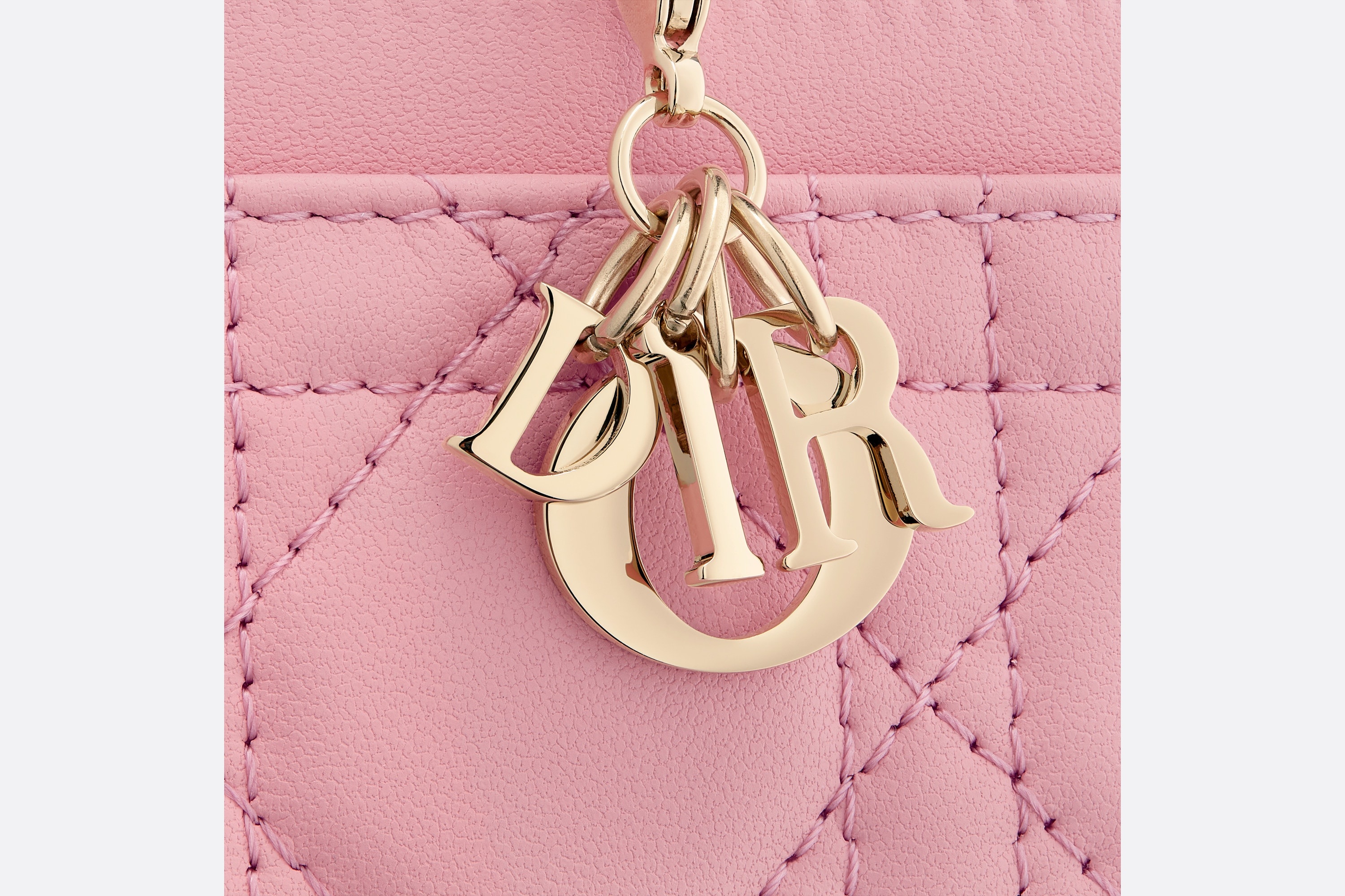 Lady Dior Five-Slot Card Holder - 4
