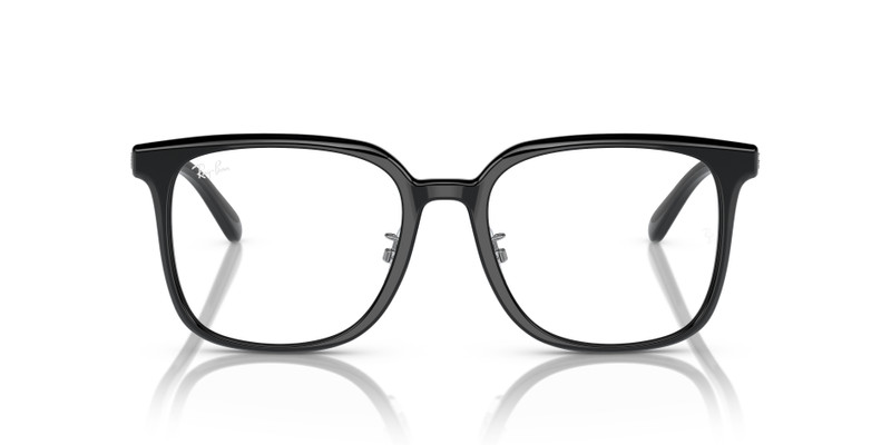 RB5419 OPTICS 4