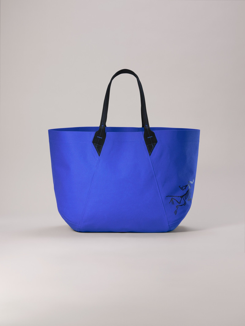 Carrier 45 Gear Tote 1