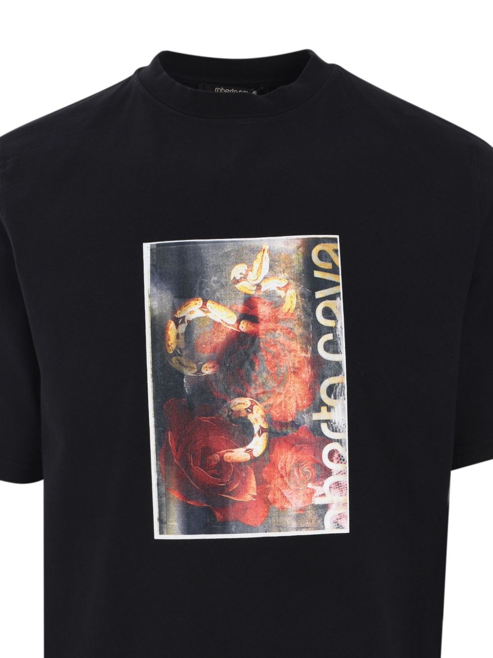 Flyer Rises and Snake t-shirt - 3