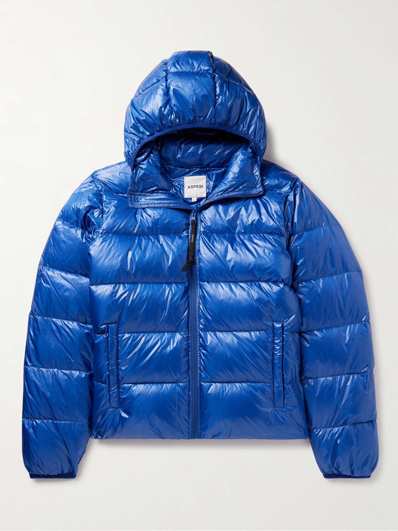 Quilted Nylon Hooded Down Jacket - 1