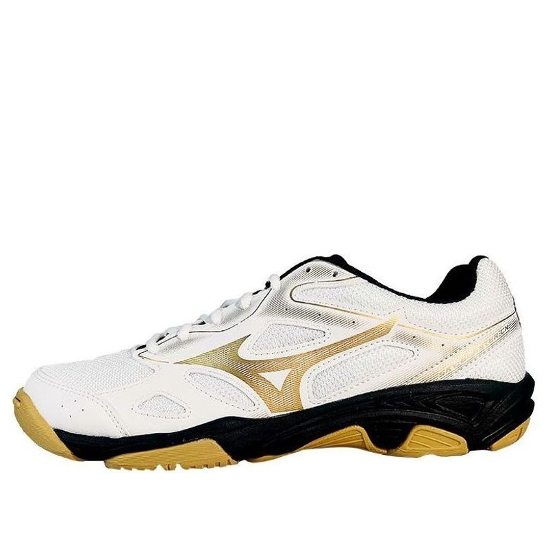 Mizuno Sky Blaster 'SlipResistant Durable Low Badminton' 71GA234601 - 1