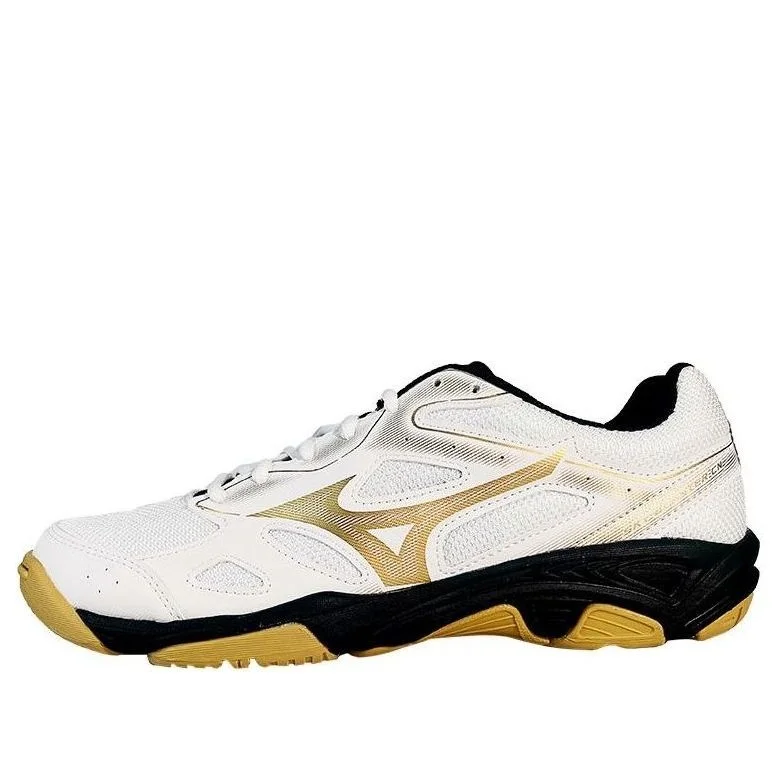 Mizuno Sky Blaster 'SlipResistant Durable Low Badminton' 71GA234601 - 1