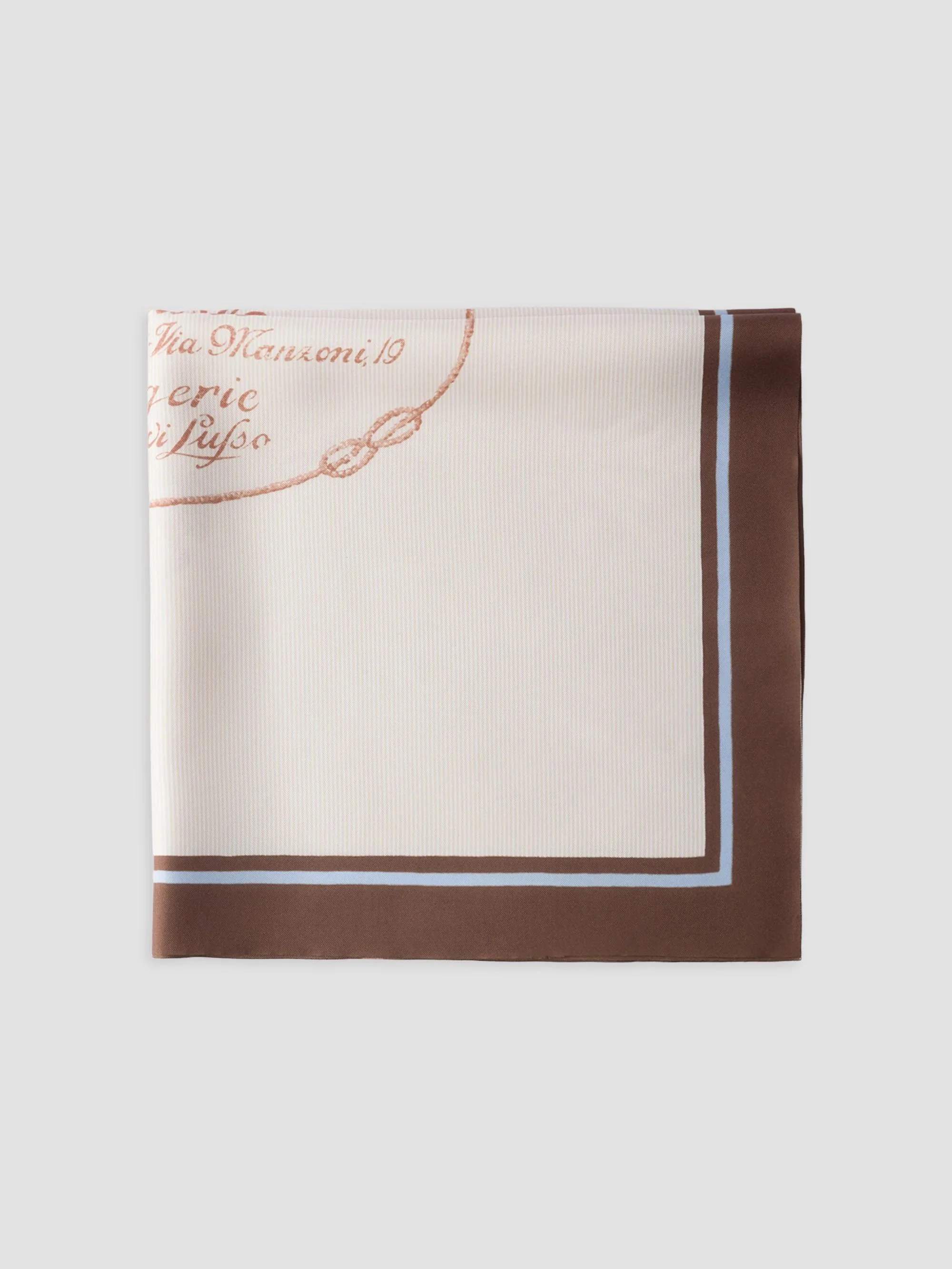 Men's Printed Twill Scarf - Brown - 1