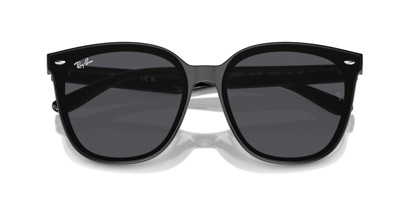 Ray-Ban RB4423D outlook