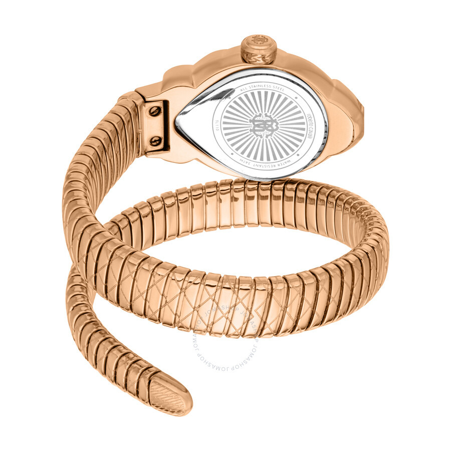 Roberto Cavalli Fiaba Silver-tone Dial Ladies Watch RC5L110M0055 - 2