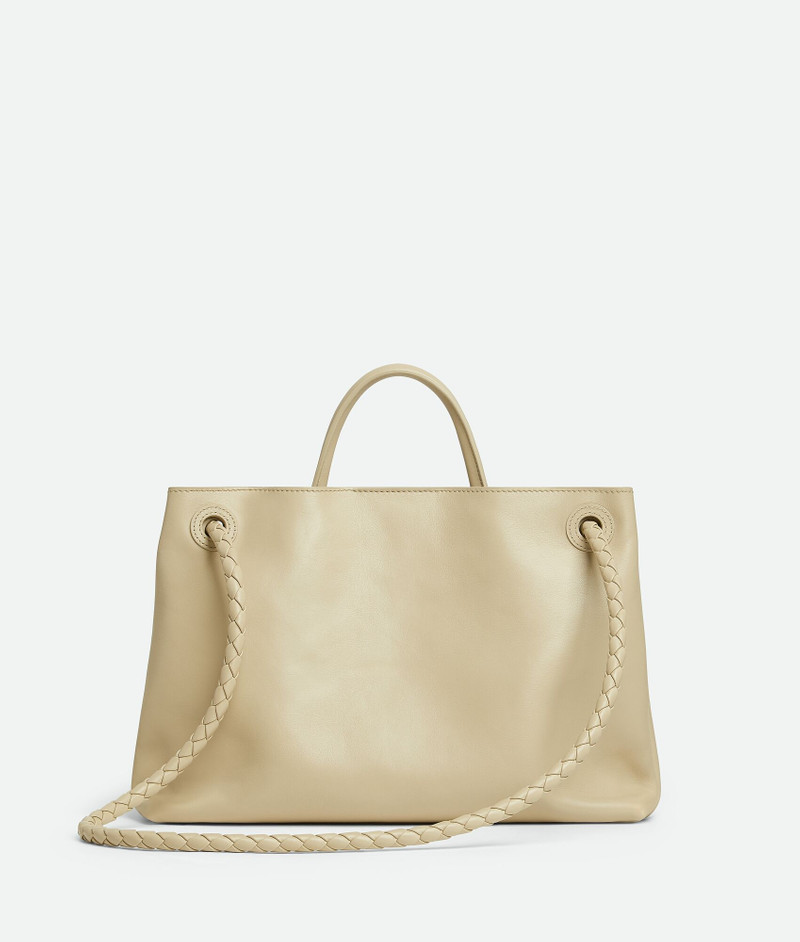 Bottega Veneta Medium Andiamo outlook