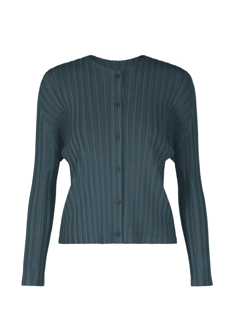 RIB PLEATS NOVEMBER 1